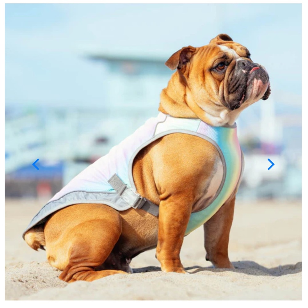 Canada Pooch Keep cool Stylish Rainbow Dog Vest size 32